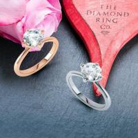 The Diamond Ring Company image 7